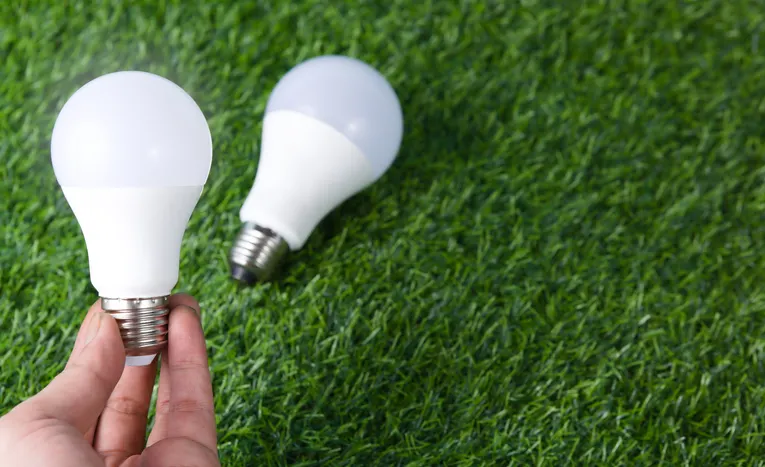 Hand holding an LED light bulb symbolising energy efficiency
